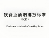 酒店厨房设备生产厂家和聊聊国家对餐饮行业油烟排放的要求