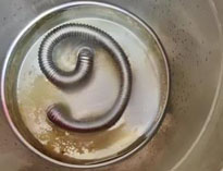 商用厨房设备专家和你聊聊水垢的危害及解决方法